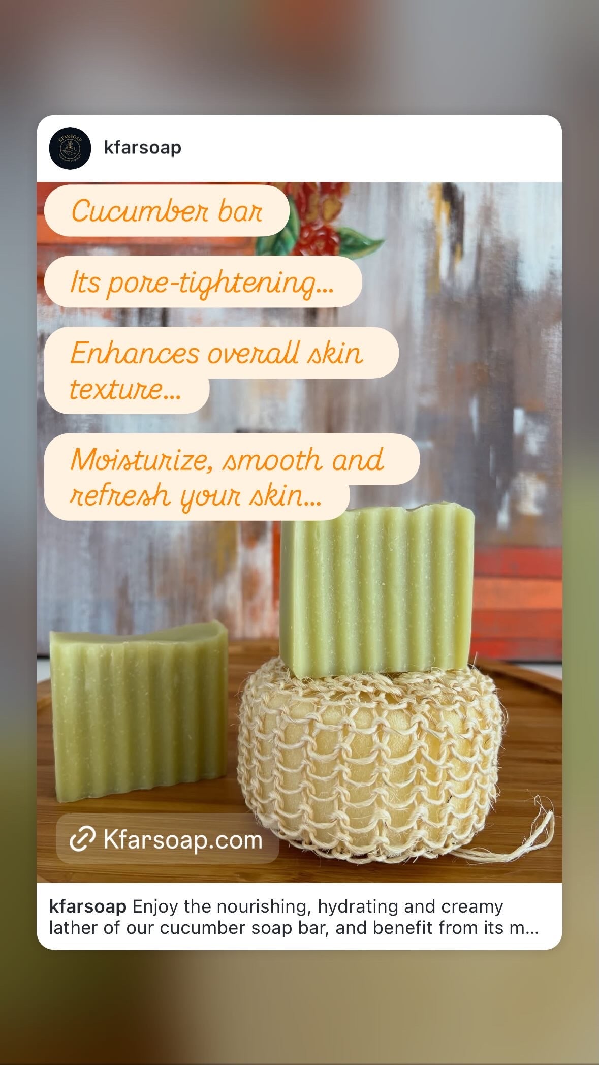 Cucumber
